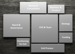 Helping and Monitoring Portfolio Companies